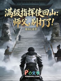 最高指挥官1视角调整